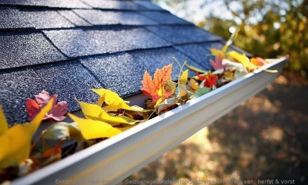 Seizoensgebonden rioolproblemen Heerenveen: herfst & vorst